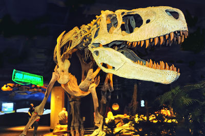 McWane Science Center