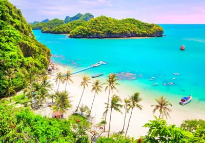 Surat Thani