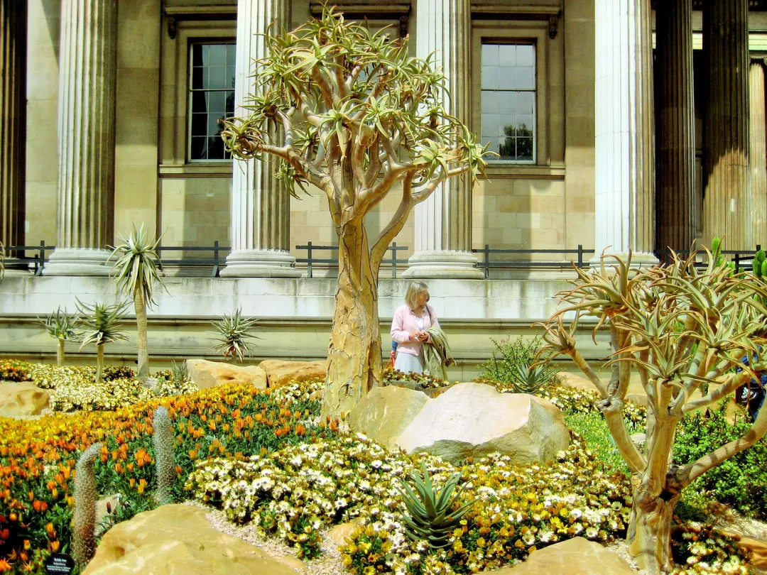 3_พิพิธภัณฑ์ยิวแอฟริกาใต้