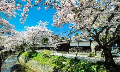 Tetsugaku No Michi