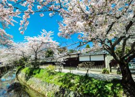 Vé máy bay British Airways đi Tokushima