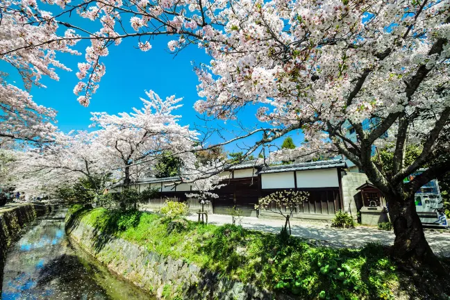 京都のバーのあるホテル