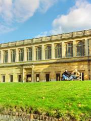 Wren Library