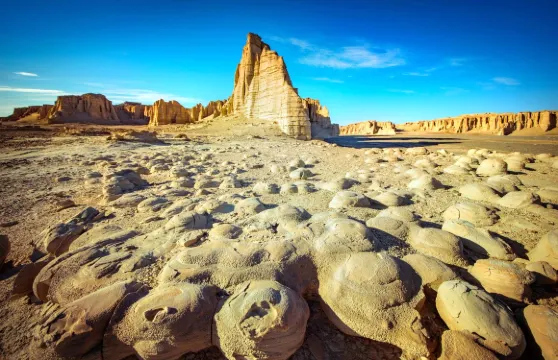 大海道門票成人