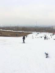 สวนสนุกหิมะที่จัดขึ้นในประเทศจีน