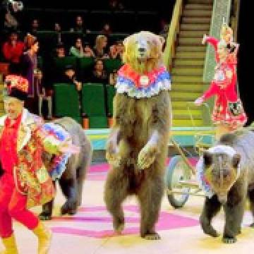 Выставки и мероприятия