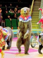 Большой Московский Государственный Цирк