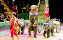 Great Moscow State Circus