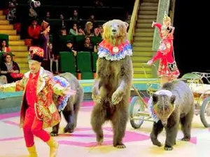 Great Moscow State Circus