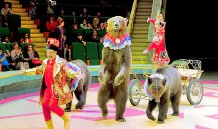 Great Moscow State Circus