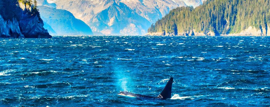 Kenai Fjords National Park