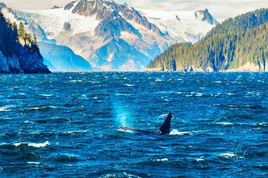 Parc national de Kenai Fjords