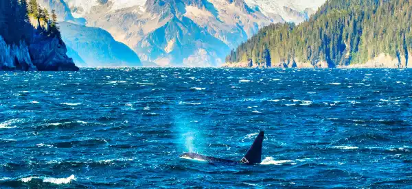 Hotels in Kenai Peninsula Borough