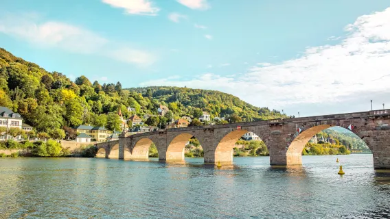 Privattransfer zu Schloss Heidelberg, Großes Fass, Alte Brücke Heidelberg, Philosophenweg und Hauptstraße
