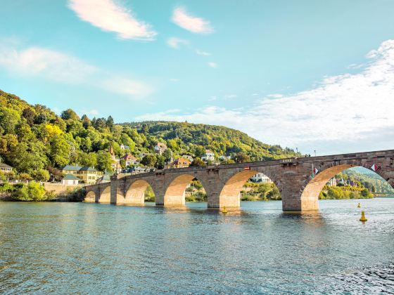 Old Bridge Heidelberg