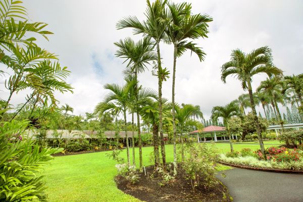 Hawai‘i Tropical Botanical Garden