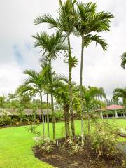 Jardin botanique tropical d'Hawaï