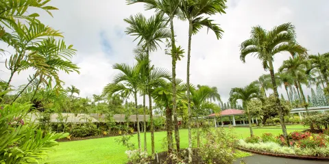 夏威夷熱帶植物園