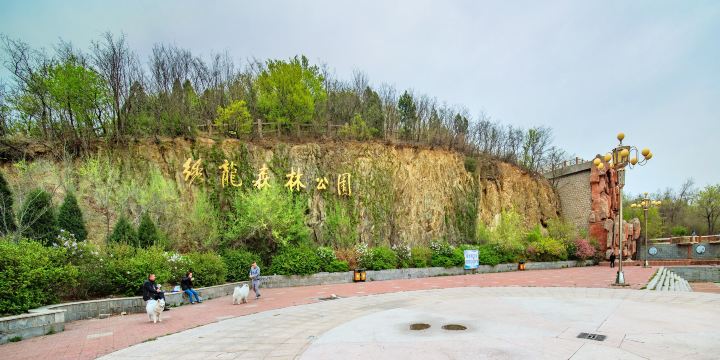 Xiulong Forest Park
