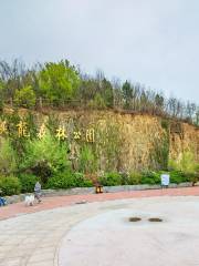 Xiulong Forest Park