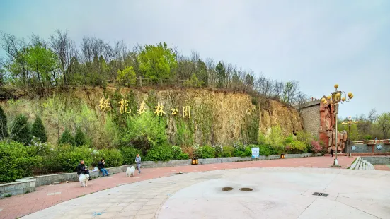 Xiulong Forest Park