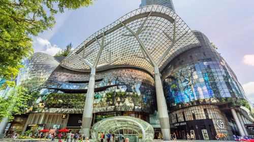 Orchard Road