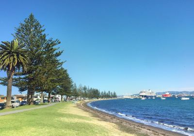 Papamoa Beach