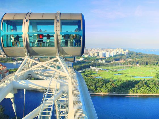 Singapore Flyer