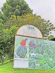 Rainforest Discovery Centre (RDC)