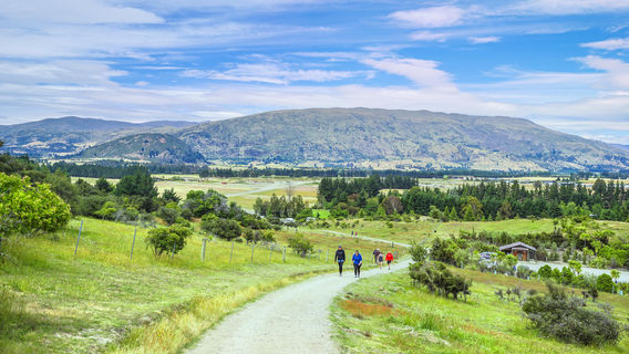 Wanaka
