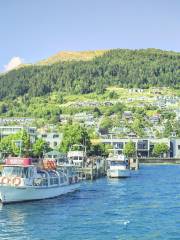 Lake Wakatipu Sightseeing Tour