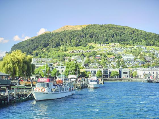 Lake Wakatipu Sightseeing Tour