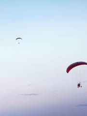 Vegas Extreme Skydiving高空跳傘