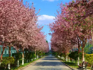 Xinjiang Agricultural Expo