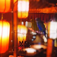 蛮牛海鲜烧烤城(琵琶路店) 여행 사진