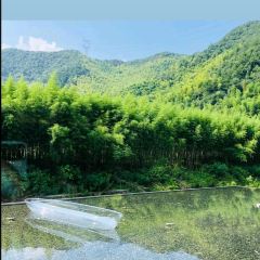 莫幹山課間度假酒店·晴餐廳張用戶圖片