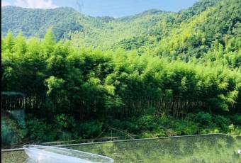 莫干山课间度假酒店·晴餐厅 user photo