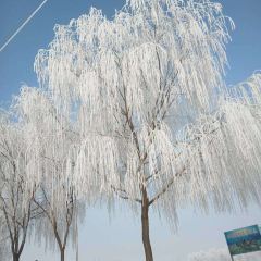 兴昌渔村 User Photo