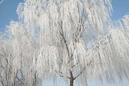 达拉特旗兴昌渔村