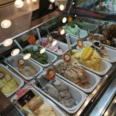 LemonCello Gelato User Photo