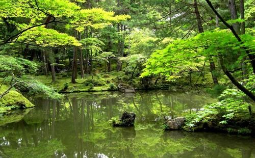 如來西方寺廟也是一處很獨特的好地方，這處寺廟設施和環境也都是