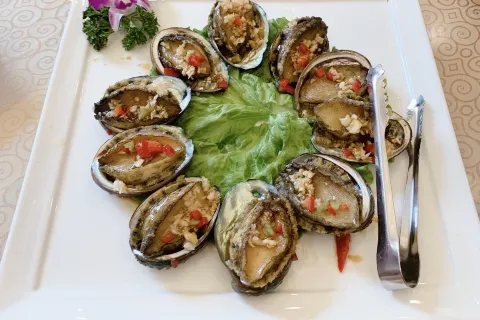 XINGHAIYUGANG