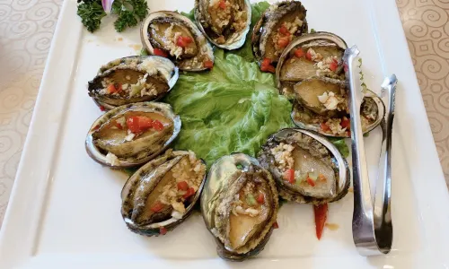 XINGHAIYUGANG
