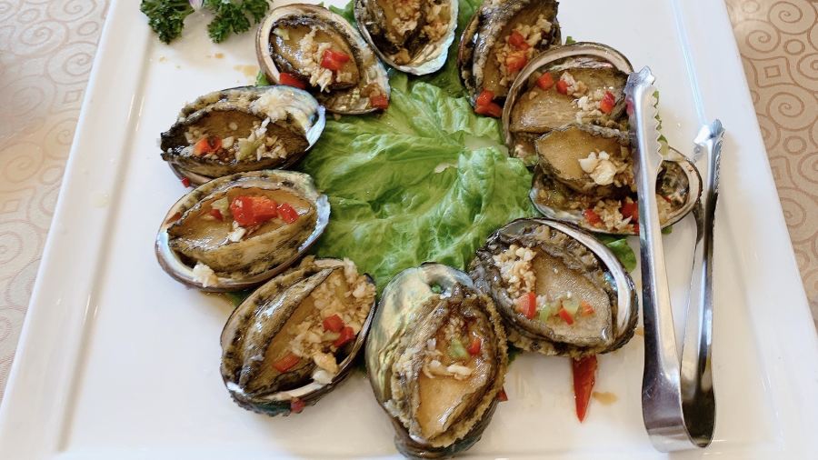 XINGHAIYUGANG
