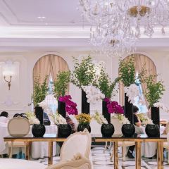 Moose (Pudong) User Photo