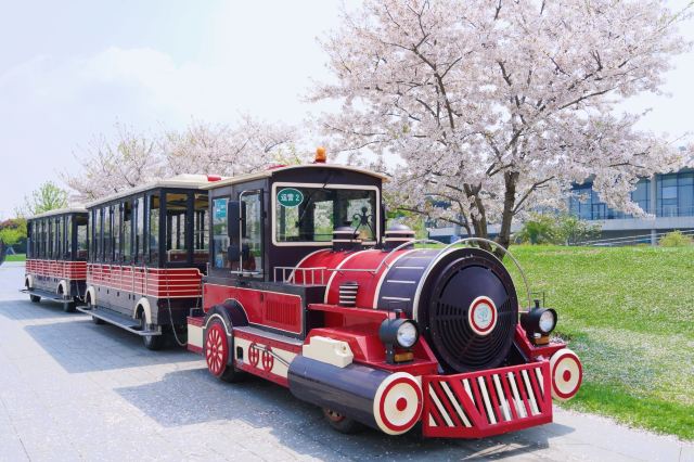 상하이 천산 식물원(상해 진산식물원)