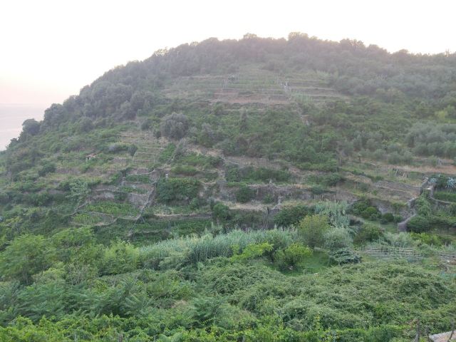Corniglia