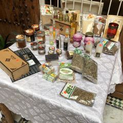 Dar El Medina User Photo