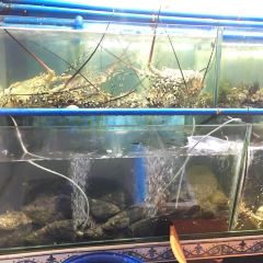 Luy's Classic Tea House User Photo