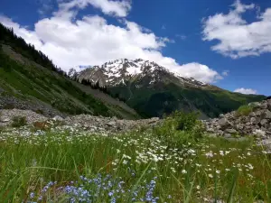 Popular Spring Outings in Mtskheta-Mtianeti